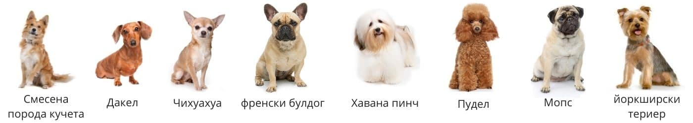 kistestű