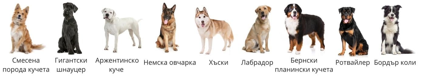 közép nagy jó javított
